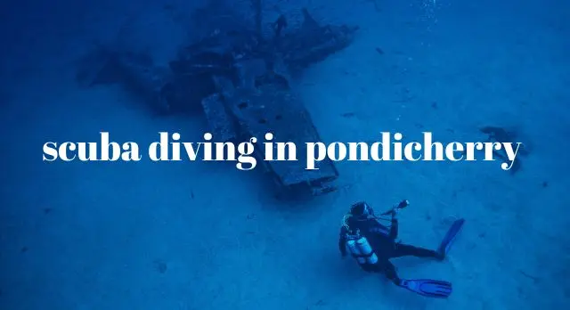 scuba diving in pondicherry